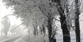 雪の降る田舎の水彩風オリジナル要約